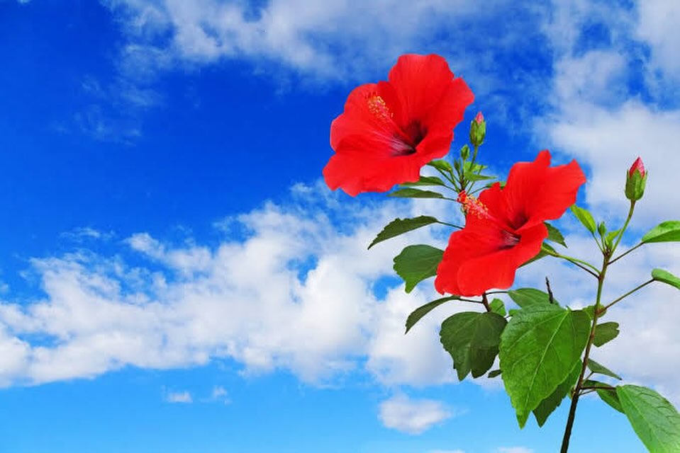 沖縄那覇 田原店OPEN!